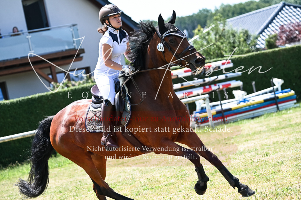 DSC_0398 | Pferde- und Turnierfotografie in Westsachsen. Pferdeportraits, Auftragszeichnungen und intuitive Kunst.