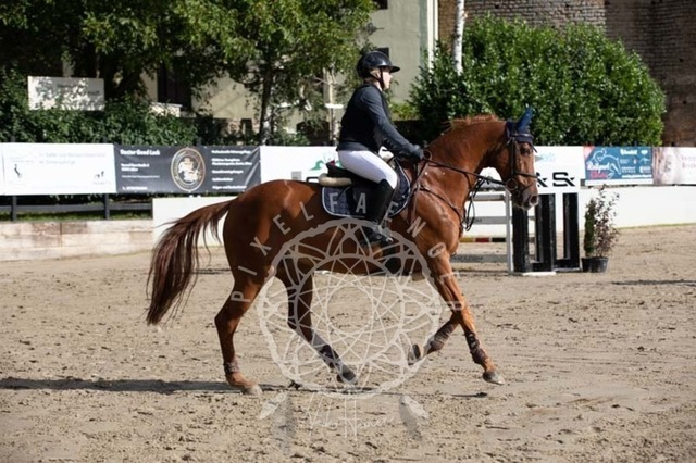 2B4A3695 | pixelfaenger - Realisiert mit Pictrs.com