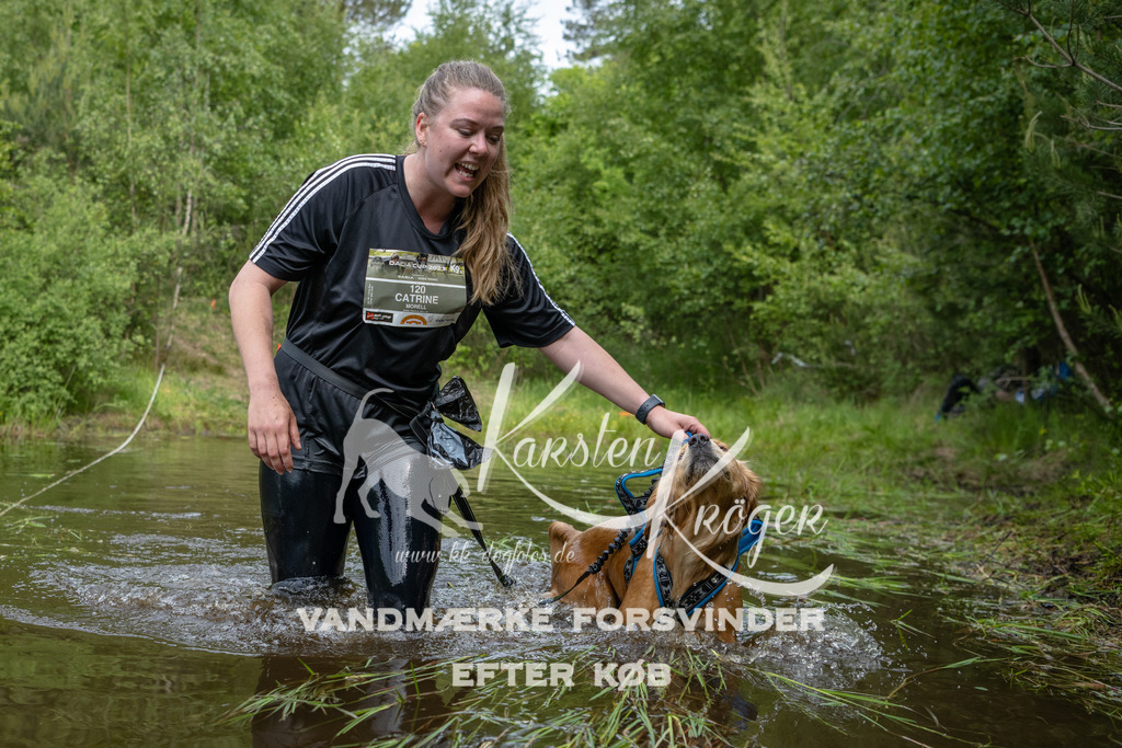 1046DKK993720 | kk-dogfotos