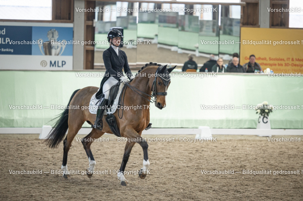 _D5A6178 | Emotionale Pferde- & People-Fotografie rund um Heidelberg, Leimen & Umgebung. Natürliche Fotos von Pferd, Mensch & Familie. Jetzt Termin sichern!