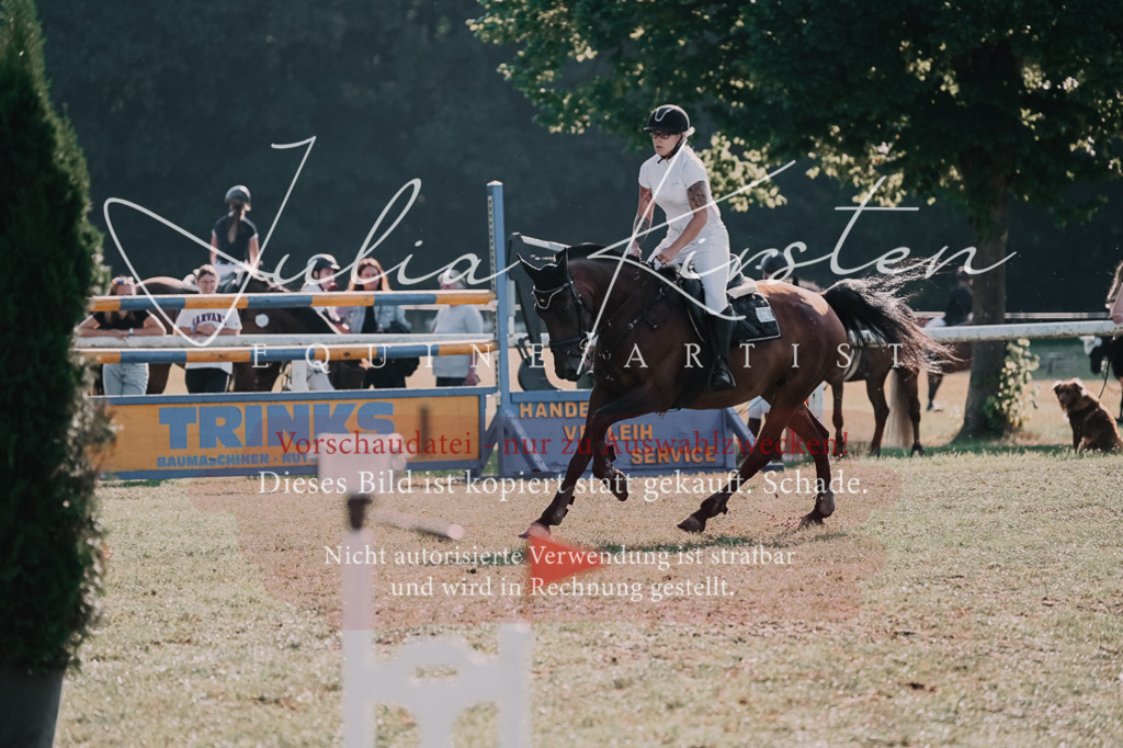 DSC_4613 | Pferde- und Turnierfotografie in Westsachsen. Pferdeportraits, Auftragszeichnungen und intuitive Kunst.