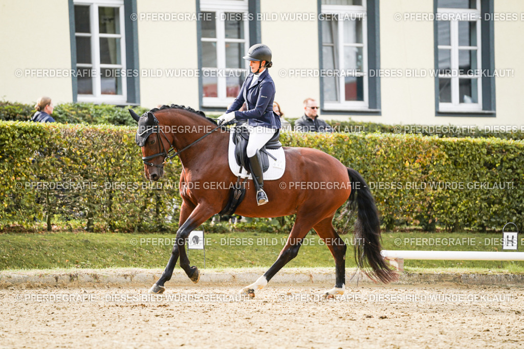 DSC09484 | Pferdegrafie