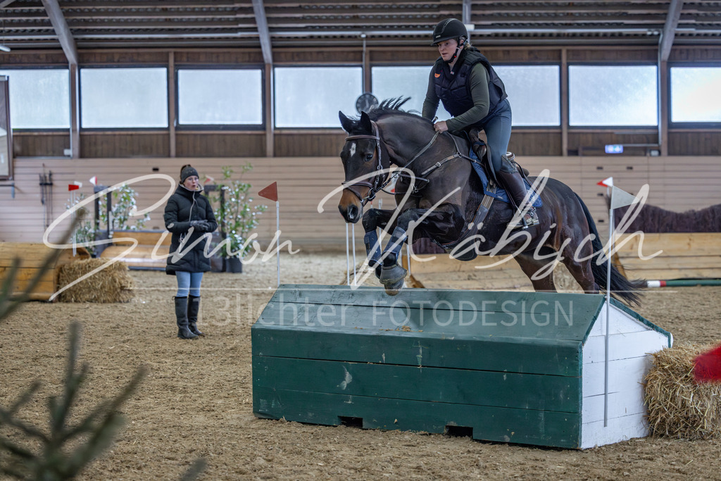 20260221-_3LI0110 | Tierfotografie Pferde, Hunde, Katzen, Haustiere.
Turnierfotografie Reitturniere, Reiten, Springreiten, Dressur in Hanau, dem Main-Kinzig-Kreis und dem Rhein-Main- Gebiet um Frankfurt