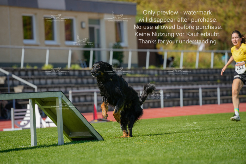 Sonntag_VK Hindernis (551 von 671) | stephaniefillaphotographie - Realisiert mit Pictrs.com