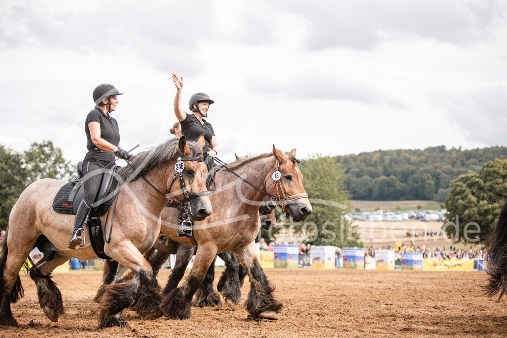 846A4127 | fotosleben - Realisiert mit Pictrs.com