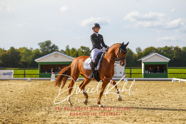 DKP45634 | Turniersportfotografie; Pferdefotografie; Dressurfotografie