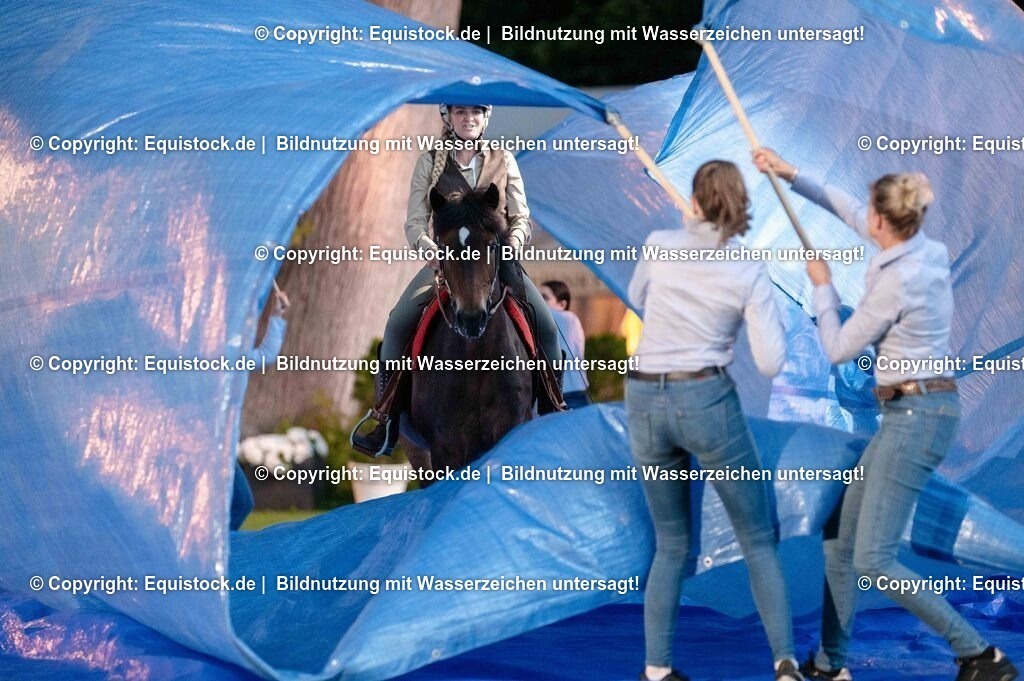 20250606_Lange-Pferdenacht_0996 | Foto: Thomas Hartig