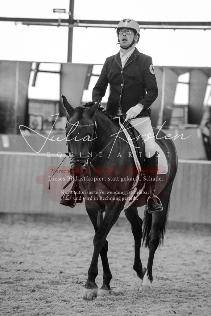 DSC_7716 | Pferde- und Turnierfotografie in Westsachsen. Pferdeportraits, Auftragszeichnungen und intuitive Kunst.