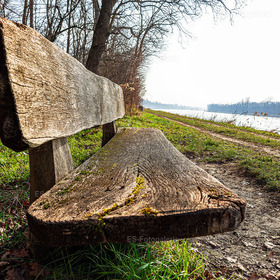Am Rheinufer Sitzen