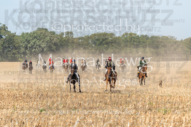 Jagd Perdoel_MarinaHewig_MCH7394 | Fotografie, FotoArt, PferdesportArt, Pferdesportfotografie, Landschaftsfotografie, Reisefotografie, Reise, Pferde - Realisiert mit Pictrs.com