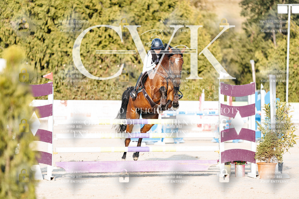 CK900772 | Turnierfotografie Pferdefotografie Trier Rheinland-Pfalz Pferdesport Reitsport Tierfotografie Sportfotografie Pferdevideo Pferdevideografie Equestrianvideography equestrianphotography  - Realisiert mit Pictrs.com