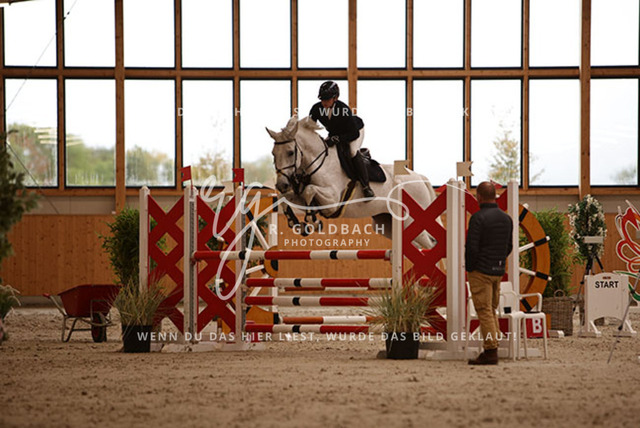 1J2A3105Johanna Dobner_ Caramella 20_ Kn066_ Hohen Wieschendorf_ Glantz | Foto- und Videografie für alles rund ums Pferd. Hochwertige Bilder und Videos vom Spring- und Dressurreiten, Voltigieren & mehr. Jetzt aktuelle Veranstaltungen und Preise im Shop ansehen. - Realisiert mit Pictrs.com