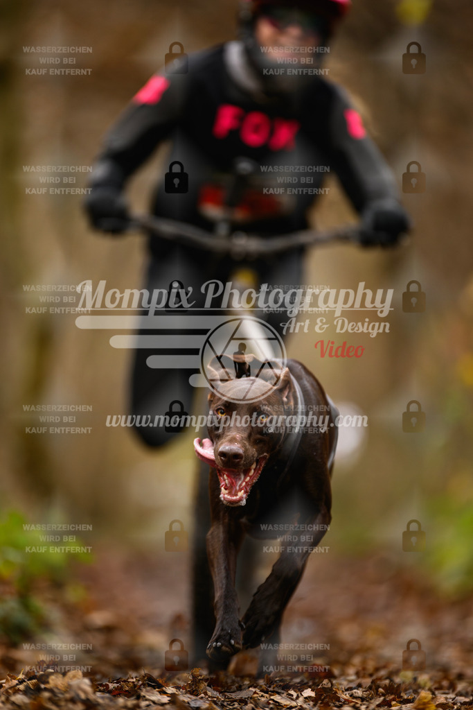 MompixPhotography_Eschau2024_DS1-10 | PayLife