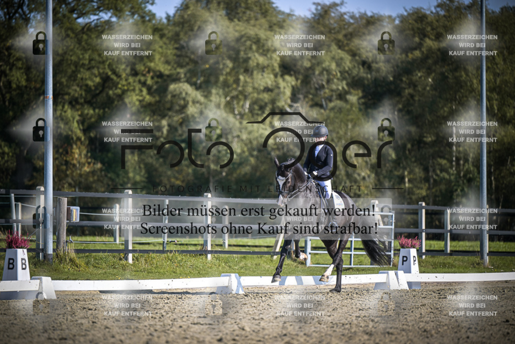 DOS_3014 | Entdecke hochwertige Reitturnierfotos von Foto Oger. Professionell, emotional und authentisch – jetzt Lieblingsmomente im Shop bestellen.Deutschlandweite Turnierfotografie. - Realisiert mit Pictrs.com