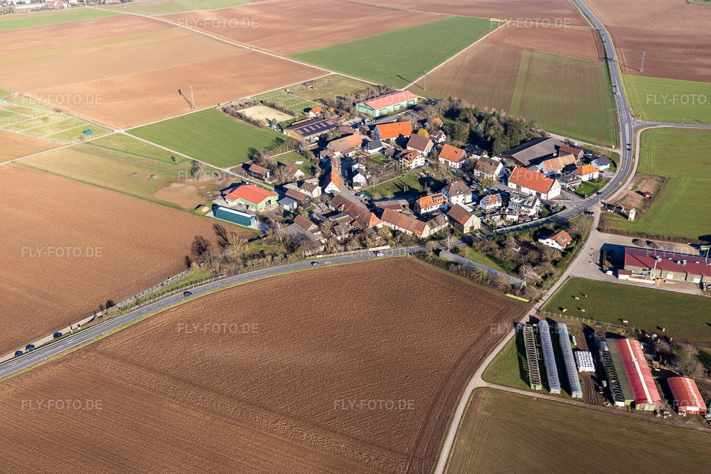Luftbild: Ortsteil Bruchhausen im Ortsteil Bruchhausen in Sandhausen im Bundesland Baden-Württemberg in Deutschland. Foto: IMG_125543.jpg vom 21.02.2021 durch Werner Riehm/FLY-FOTO.de