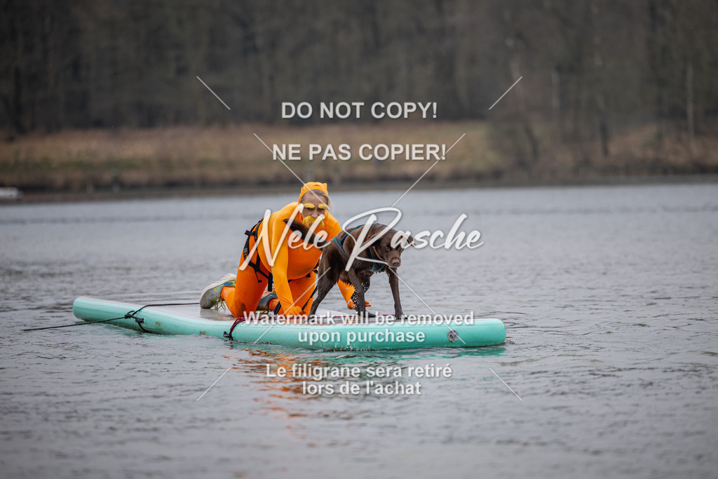 nelerasche_Hulsbeek_Sa1430-1515_261 | nelerasche