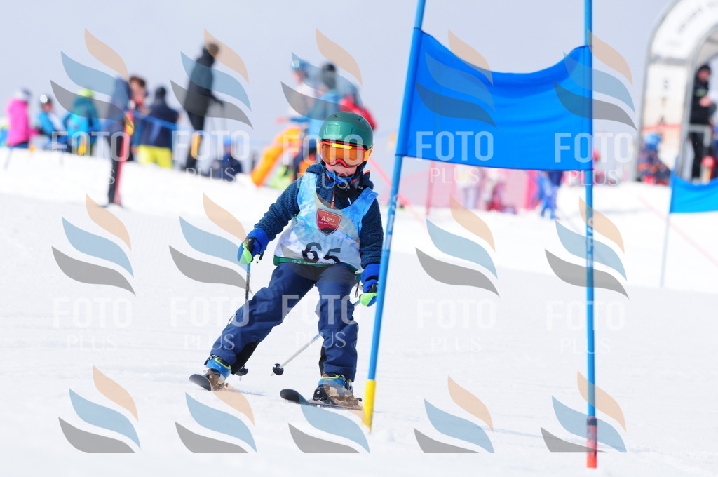 A3631 | holidayphoto