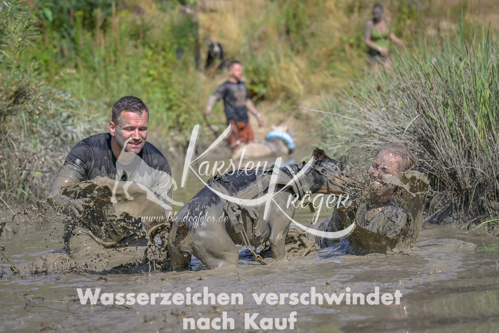1641_ZZ97033 | kk-dogfotos