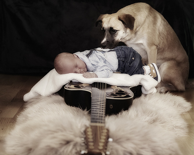 DP1_1725 Kopie | Alfred Kaipel Fotografen Webseite. Digipic, Dein Partner wenn´s um Fotos geht. Shootings. TFP, Events, Sportfotografie, Fotoartikel, Funartikel,  - Realisiert mit Pictrs.com