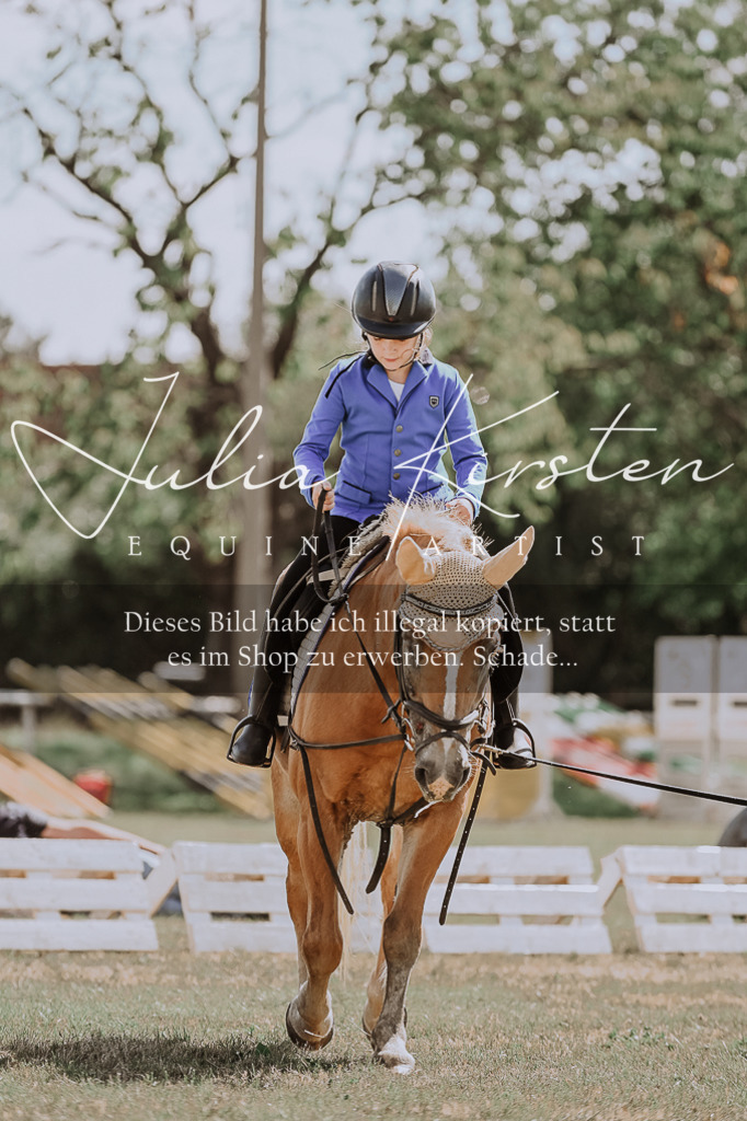 DSC_7519 | Pferde- und Turnierfotografie in Westsachsen. Pferdeportraits, Auftragszeichnungen und intuitive Kunst.