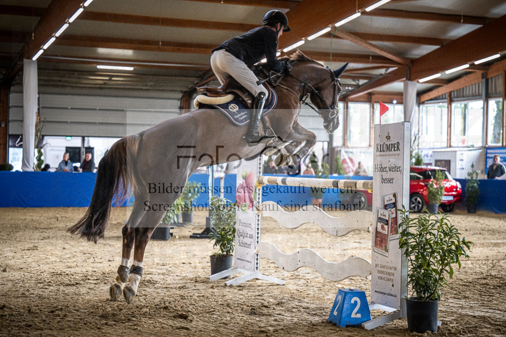 DOS_0774 | Entdecke hochwertige Reitturnierfotos von Foto Oger. Professionell, emotional und authentisch – jetzt Lieblingsmomente im Shop bestellen.Deutschlandweite Turnierfotografie. - Realisiert mit Pictrs.com