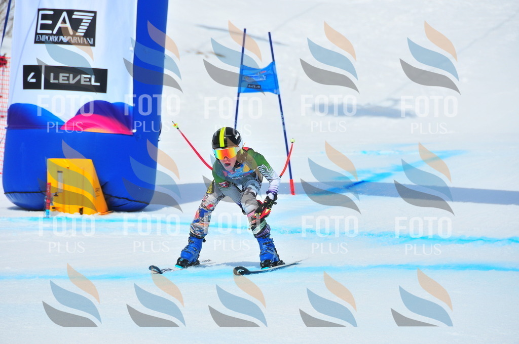 DSC_5984 | holidayphoto