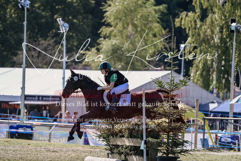 DSC_3633 | Pferde- und Turnierfotografie in Westsachsen. Pferdeportraits, Auftragszeichnungen und intuitive Kunst.