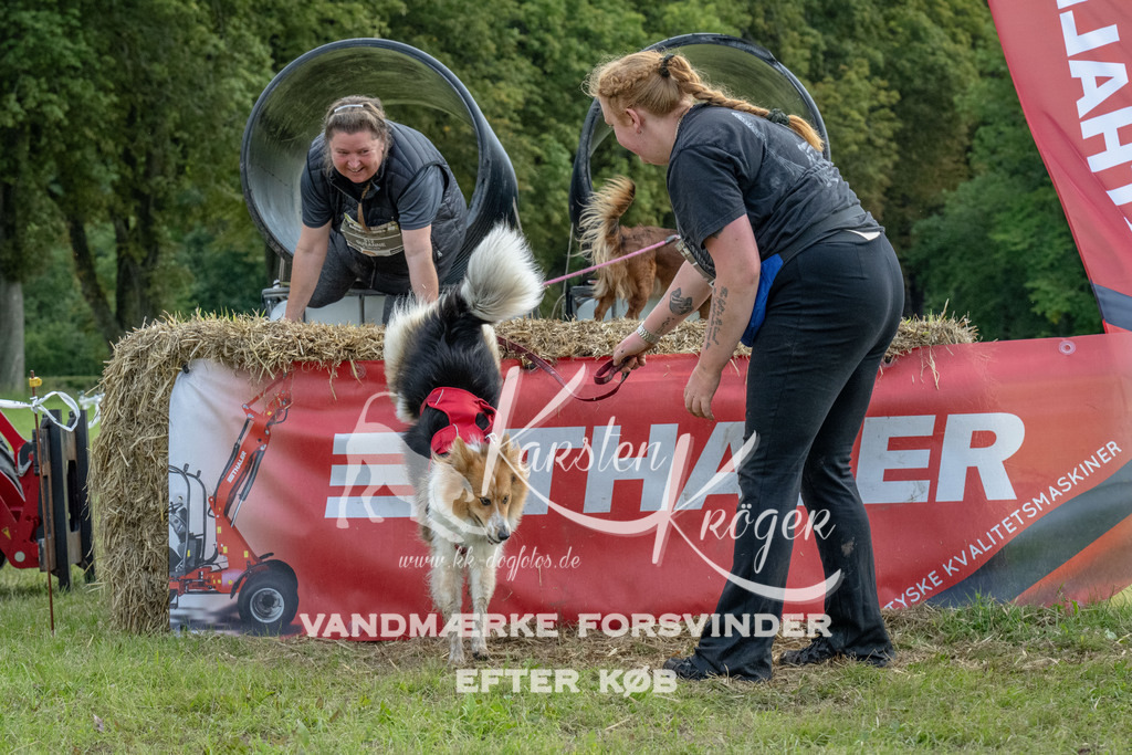1043_ZZ93067 | kk-dogfotos