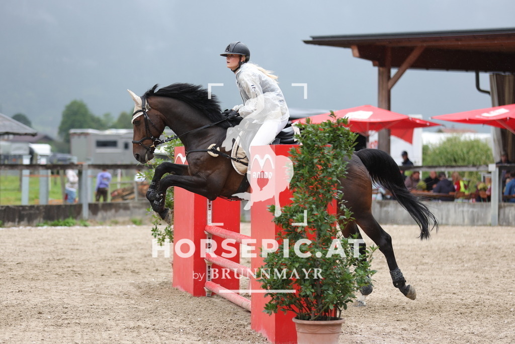 0P6A1528 | Willkommen bei Brunnmayr - Design & Fotografie – Ihrem Spezialisten für Reitturniere und Pferdeveranstaltungen in Oberösterreich, Salzburg und Bayern! Seit über 17 Jahren sind wir leidenschaftlich dabei.