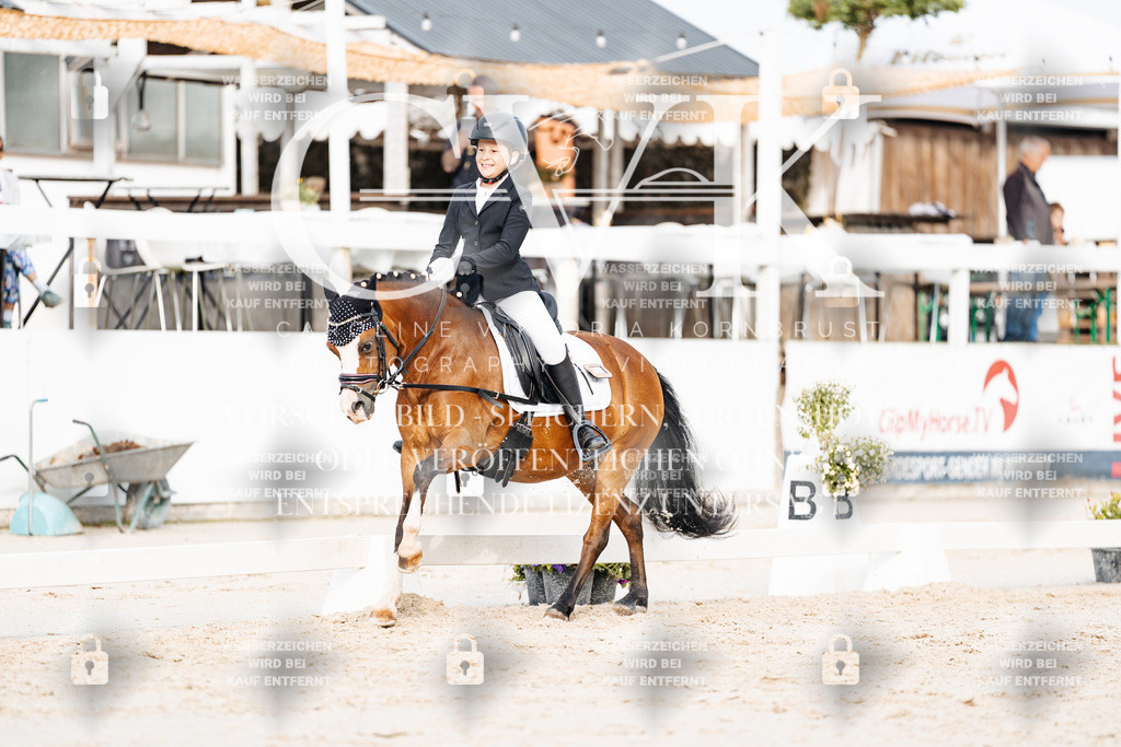 CK904278 | Turnierfotografie Pferdefotografie Trier Rheinland-Pfalz Pferdesport Reitsport Tierfotografie Sportfotografie Pferdevideo Pferdevideografie Equestrianvideography equestrianphotography  - Realisiert mit Pictrs.com