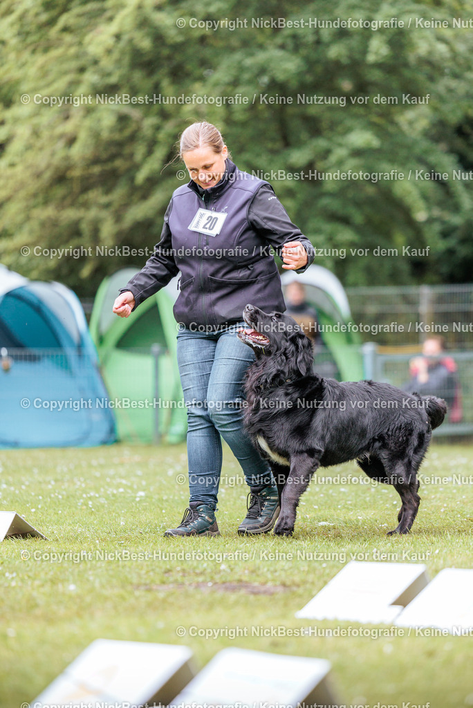 RO-Blumenthal-2026-Nickbest-Hundefotografie-4622 | Dein Hund! Dein Moment! Deine Erinnerungen! Hundefotografie in Bremen Blumenthal. Ich fange die besonderen Momente deines Vierbeiners ein – ob Indoor mit Blitzanlage oder in der freien Natur. Sicher dir dein Moment und dein Termin für eure Erinnerungen.