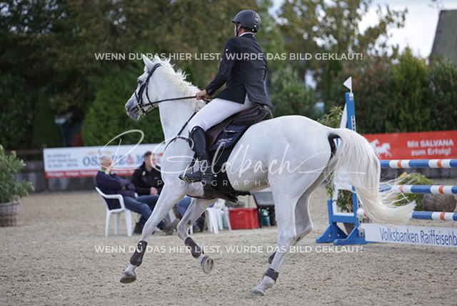 1J2A9358Jan Meves_ Lardeo 3_ Kn624_ Havekost | Foto- und Videografie für alles rund ums Pferd. Hochwertige Bilder und Videos vom Spring- und Dressurreiten, Voltigieren & mehr. Jetzt aktuelle Veranstaltungen und Preise im Shop ansehen. - Realisiert mit Pictrs.com