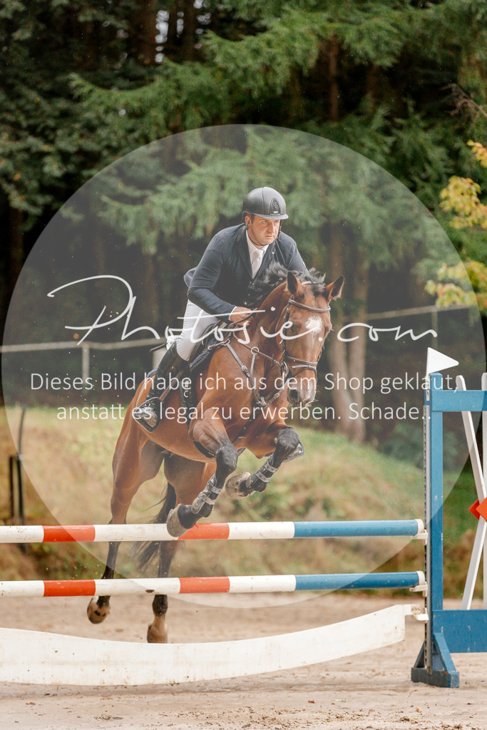 3I6A5750 | Stimmungsvolle Portraits und Reitsportfotografie im Ruhrgebiet und im Münsterland.

Pferdefotografie, Hundefotografie, Tierfotografie, Reportagen, Portraits von Tier und Mensch, Turnierfotografie in Bochum, Recklinghausen, Marl, Haltern am See, Dülmen.. - Realisiert mit Pictrs.com