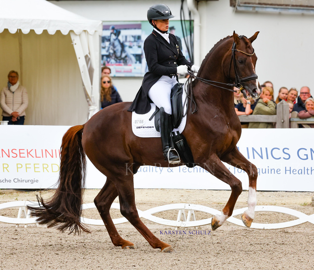 1B3A8368 | Reitsport Reiten
