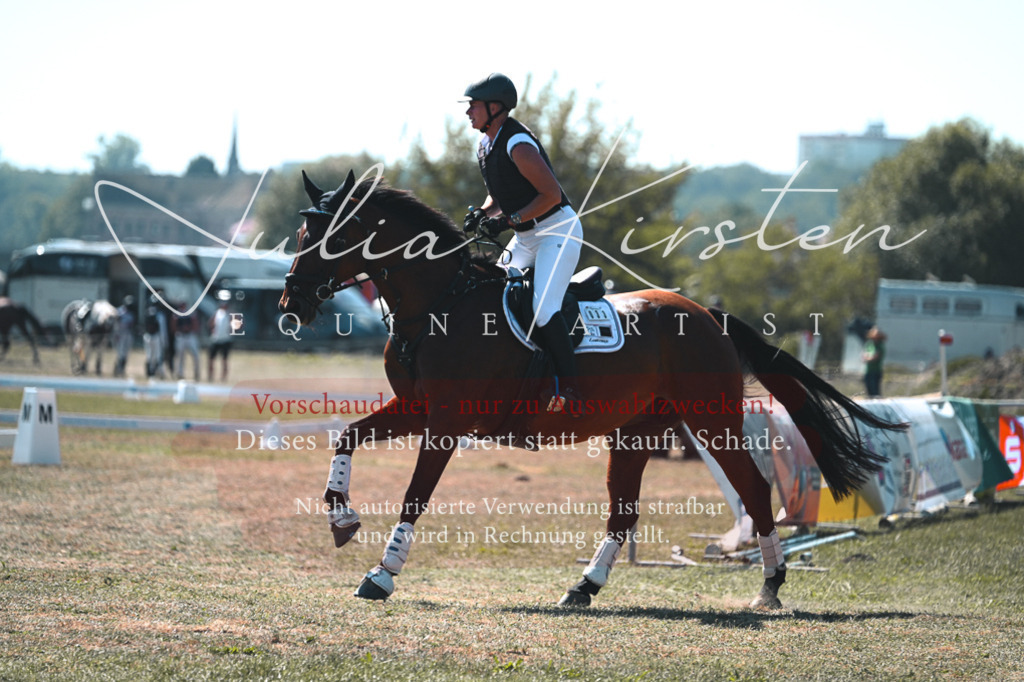 DSC_8242 | Pferde- und Turnierfotografie in Westsachsen. Pferdeportraits, Auftragszeichnungen und intuitive Kunst.