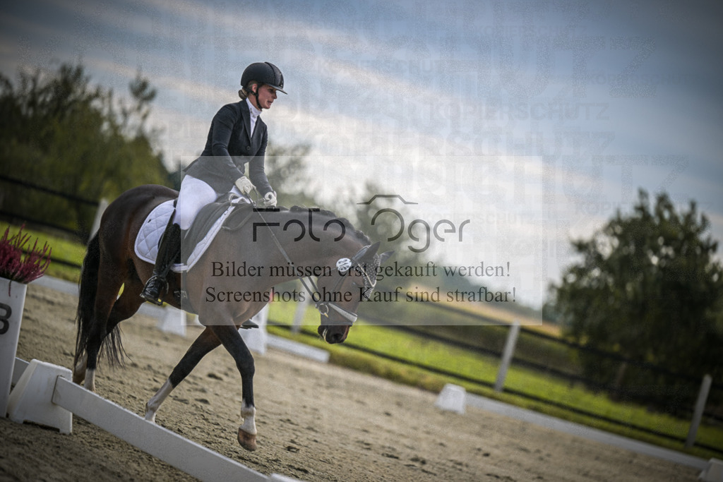 DOS_1103 | Entdecke hochwertige Reitturnierfotos von Foto Oger. Professionell, emotional und authentisch – jetzt Lieblingsmomente im Shop bestellen.Deutschlandweite Turnierfotografie. - Realisiert mit Pictrs.com