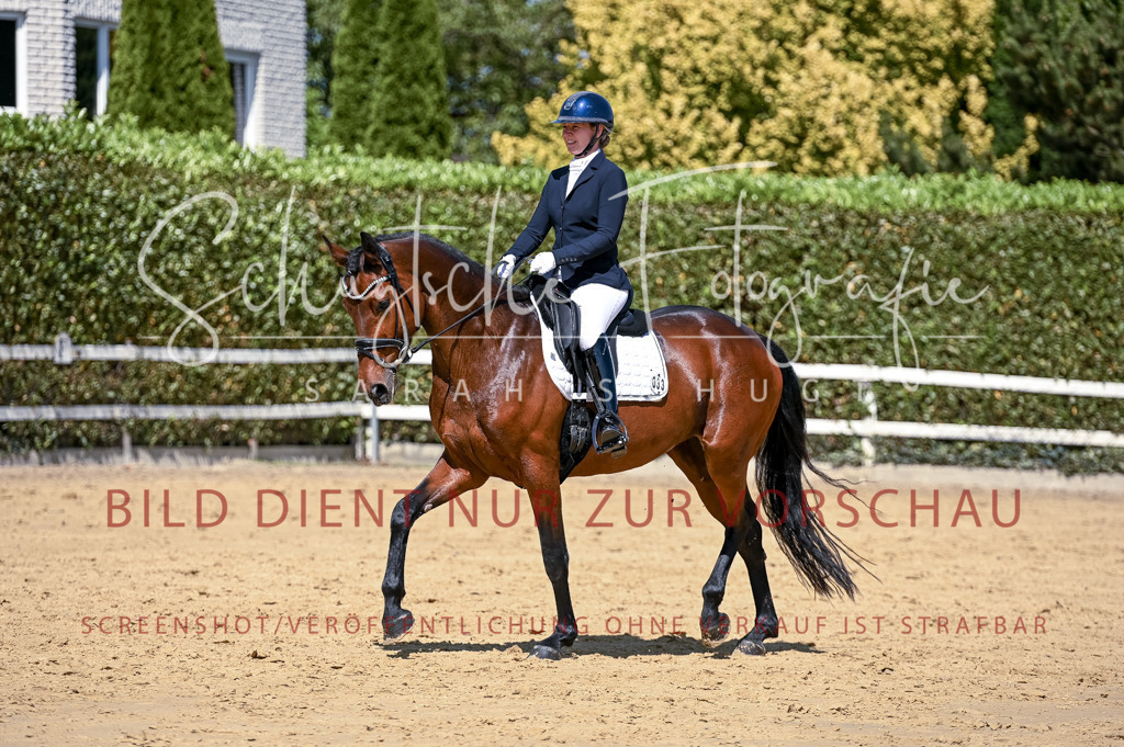 Schugtsche-Aluta25-49.Dressurpferdeprf.A-328 | Schugtsche Fotografie - Realisiert mit Pictrs.com