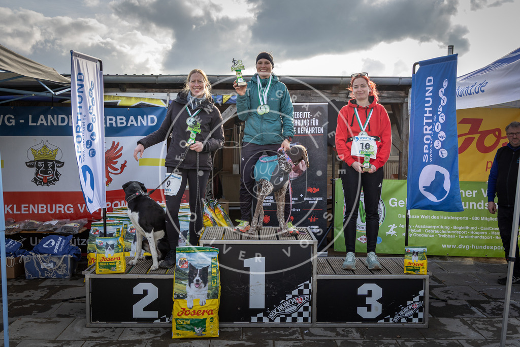 0L8A9123 | Hundefotografie, Tierfotograf, Pfotenfotografie, Fotoshooting Hund, Hunde Portrait, Hundesport, Hundeportraits, Heideshooting, Hunde, Sportfotograf, Hundefotograf, Turnierhundsport, THS,  - Realisiert mit Pictrs.com