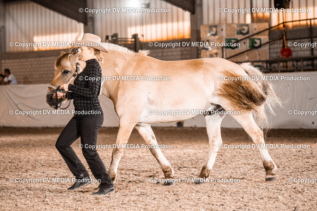 ZH100081 | dv-media-shop - Realisiert mit Pictrs.com