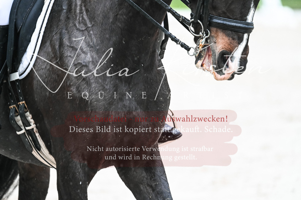 DSC_4496 | Pferde- und Turnierfotografie in Westsachsen. Pferdeportraits, Auftragszeichnungen und intuitive Kunst.