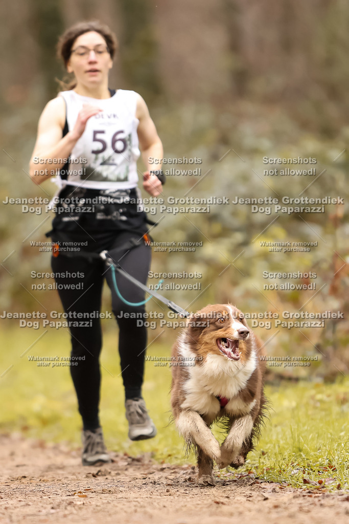 Dog Paparazzi - Speedhunter Mannheim  2025-158 | Dog Paparazzi Jeanette Grottendiek Fotografie & Videografie