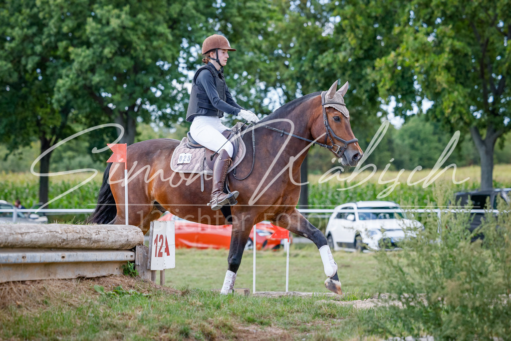 20250905-_3LI1732 | Tierfotografie Pferde, Hunde, Katzen, Haustiere.
Turnierfotografie Reitturniere, Reiten, Springreiten, Dressur in Hanau, dem Main-Kinzig-Kreis und dem Rhein-Main- Gebiet um Frankfurt