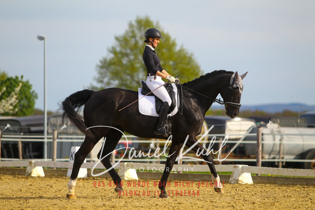 DKP43424 | Turniersportfotografie; Pferdefotografie; Dressurfotografie