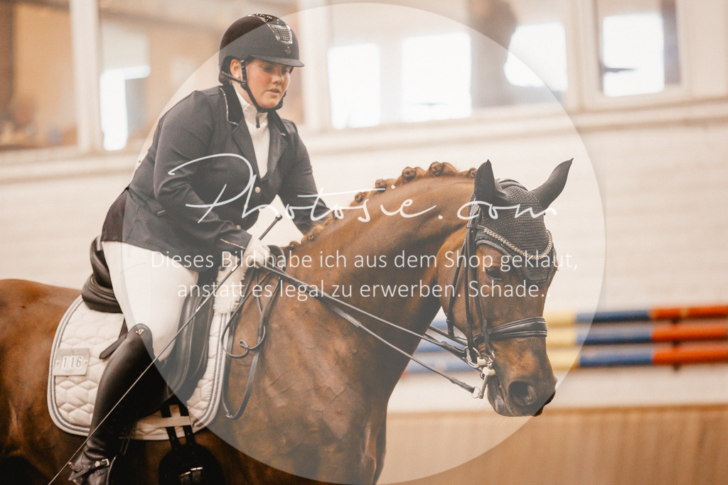 3I6A3094 | Stimmungsvolle Portraits und Reitsportfotografie im Ruhrgebiet und im Münsterland.

Pferdefotografie, Hundefotografie, Tierfotografie, Reportagen, Portraits von Tier und Mensch, Turnierfotografie in Bochum, Recklinghausen, Marl, Haltern am See, Dülmen.. - Realisiert mit Pictrs.com