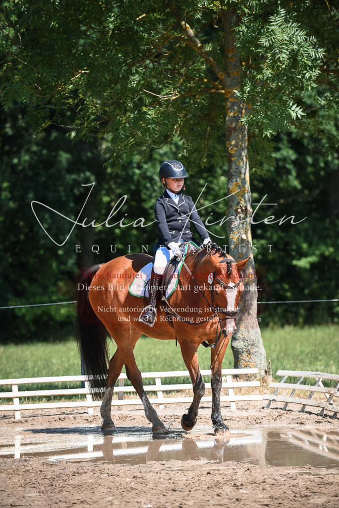 DSC_3402 | Pferde- und Turnierfotografie in Westsachsen. Pferdeportraits, Auftragszeichnungen und intuitive Kunst.