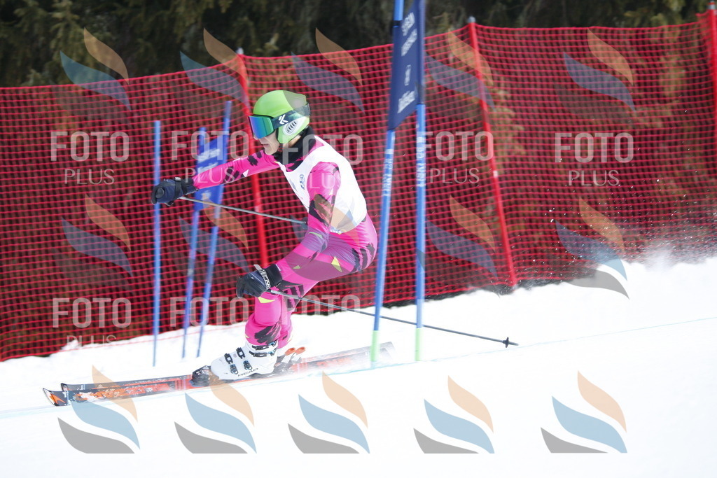 D6206 | holidayphoto