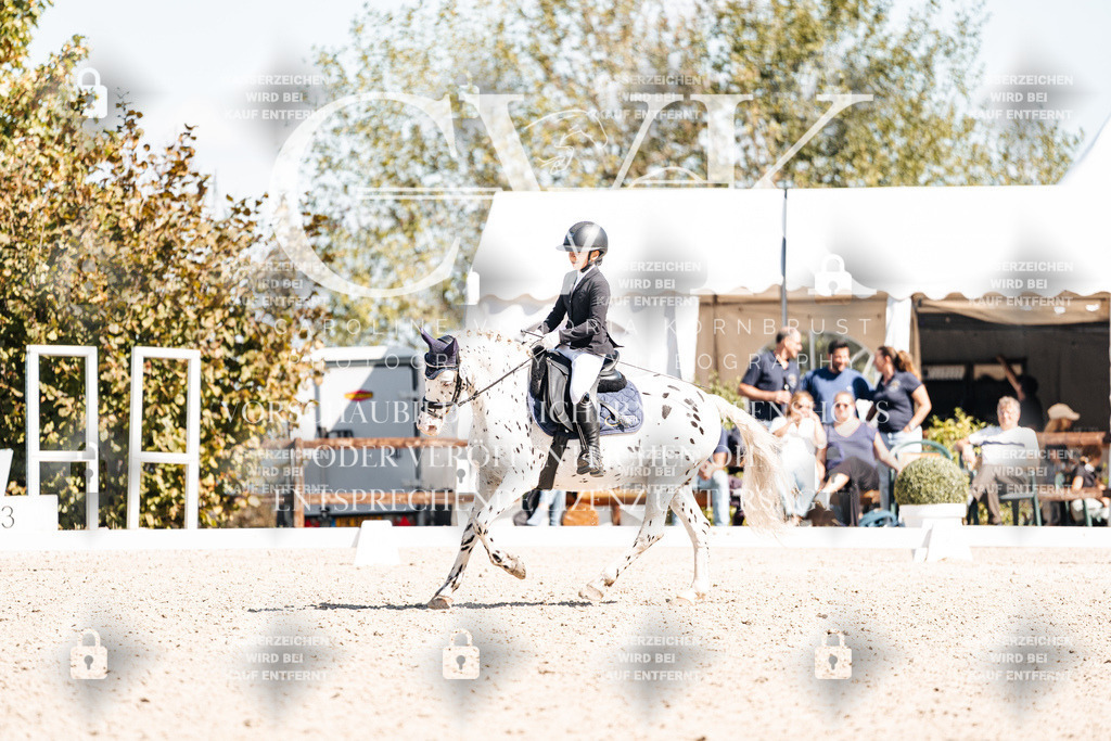 CK904163 | Turnierfotografie Pferdefotografie Trier Rheinland-Pfalz Pferdesport Reitsport Tierfotografie Sportfotografie Pferdevideo Pferdevideografie Equestrianvideography equestrianphotography  - Realisiert mit Pictrs.com