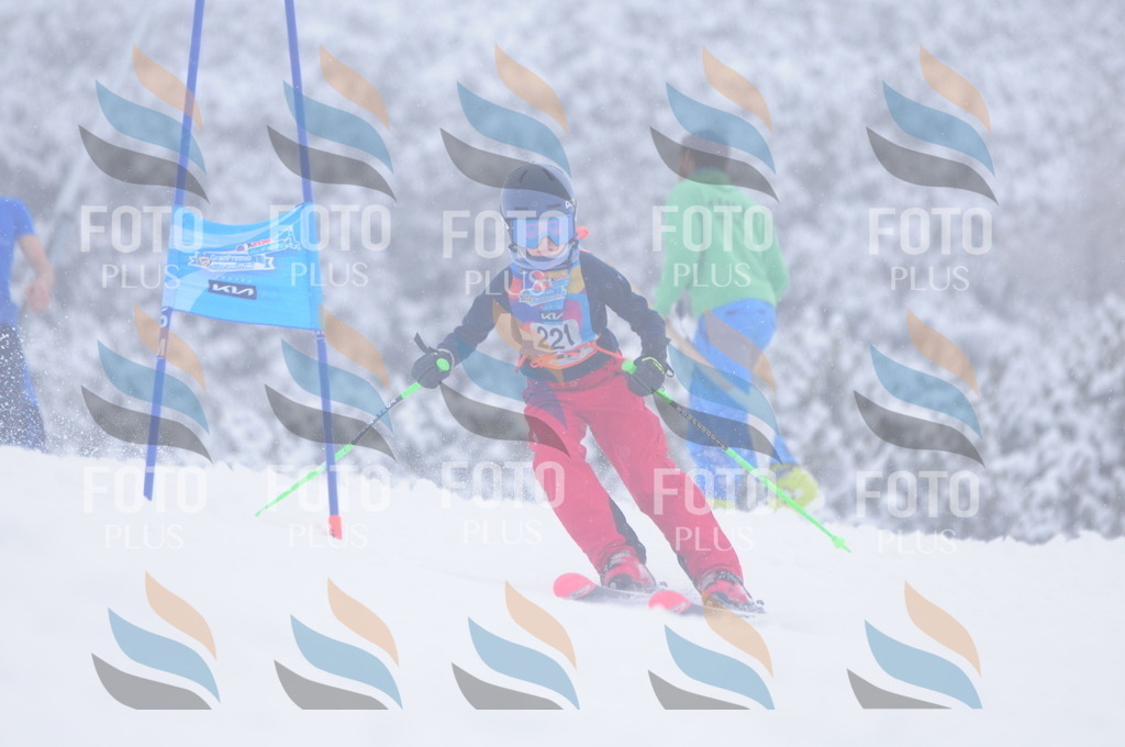 C2349 | holidayphoto