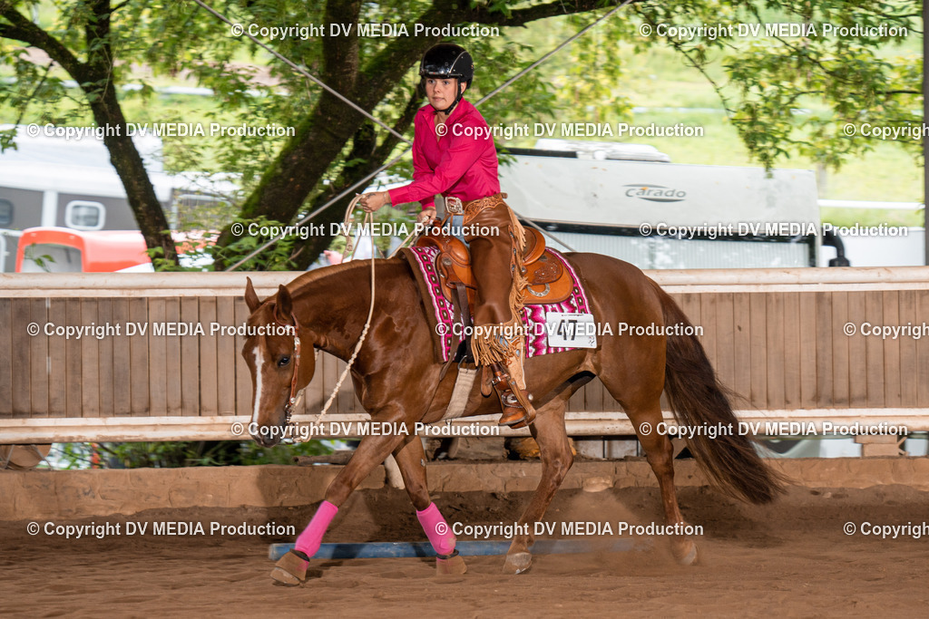 Erbach Tag 2-439 | dv-media-shop - Realisiert mit Pictrs.com