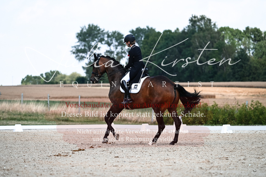 DSC_3101 | Pferde- und Turnierfotografie in Westsachsen. Pferdeportraits, Auftragszeichnungen und intuitive Kunst.